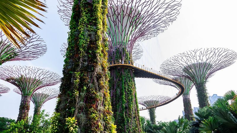 Khám phá khu vườn Gardens by the Bay