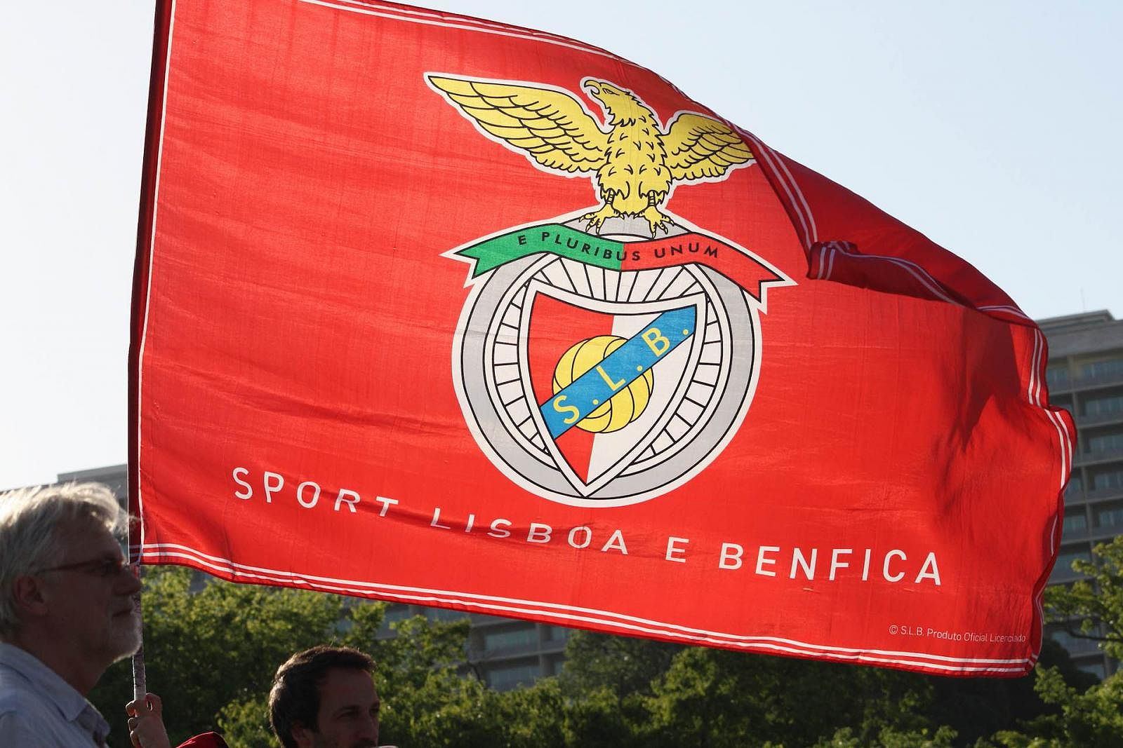 Flag of SL Benfica