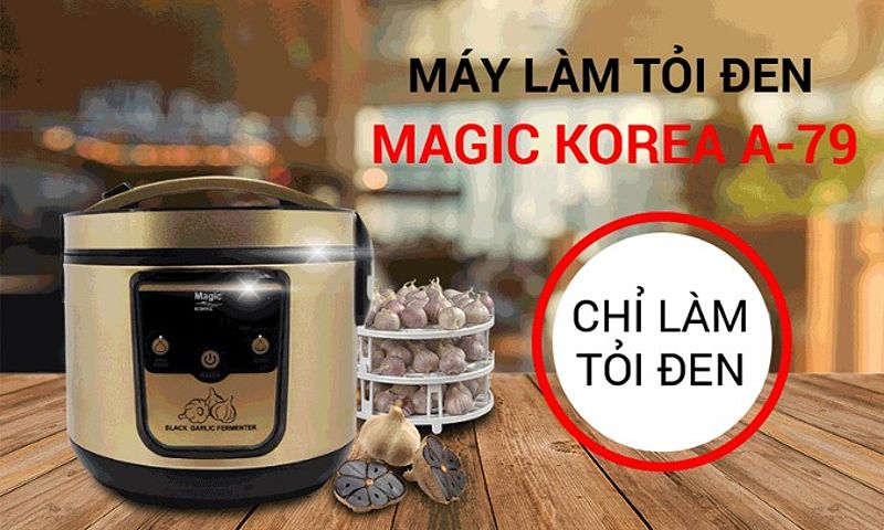 Máy làm tỏi đen