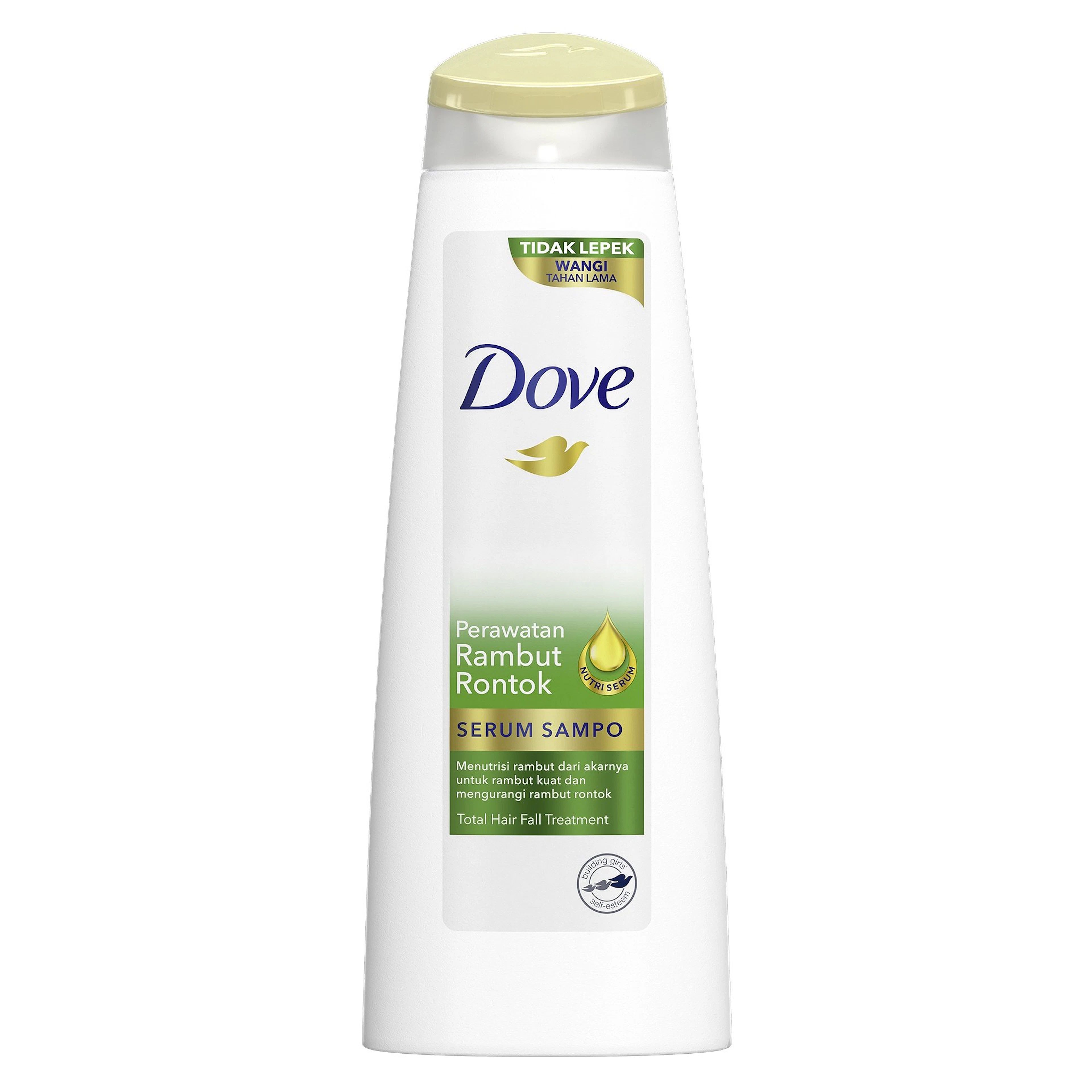 Dove perawatan rambut rontok shampoo 290ml