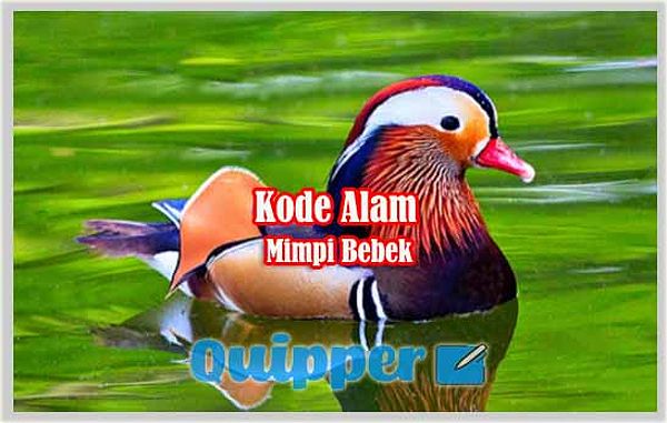 Kode Alam Mimpi Bebek