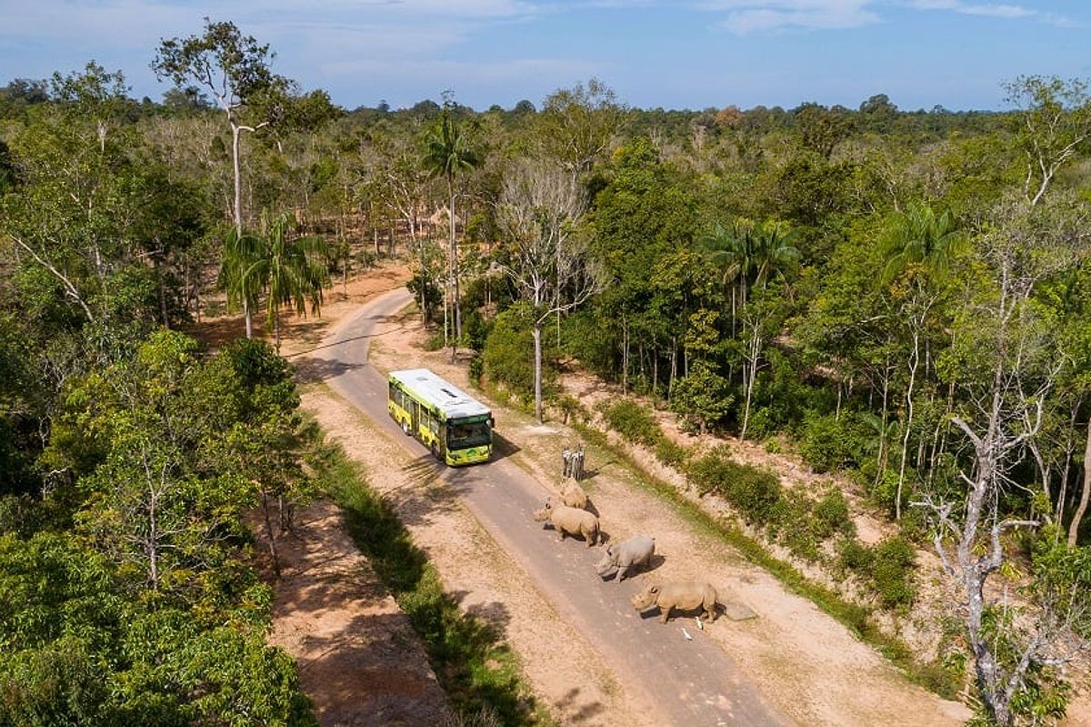 Gambar menunjukkan động vật trong Vinpearl Safari di Phú Quốc.