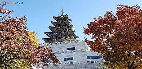 Pemandangan di dalam cung điện Gyeongbok.