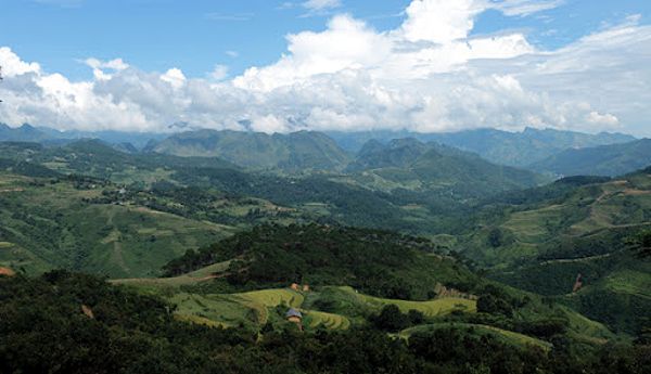 Rừng thông Yên Minh, một khung cảnh yên bình và thơ mộng ở Hà Giang.