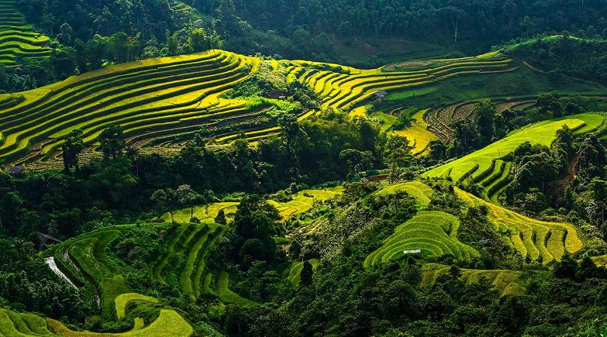 Ruộng bậc thang Hoàng Su Phì, một cảnh quan tuyệt đẹp ở Hà Giang.